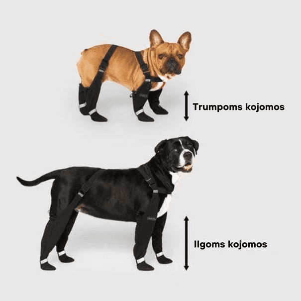 Neperšlampamos šunų pėdų apsaugos
