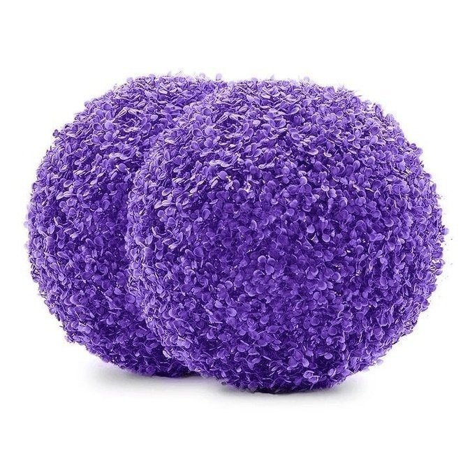 Dekoratyvis augalas - Kamuolys