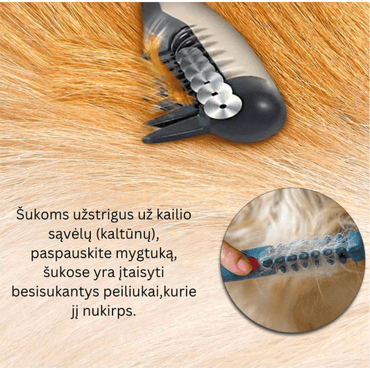 Magiškos elektrinės augintinių šukos