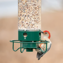 SafeBird™ | Paukščių lesykla