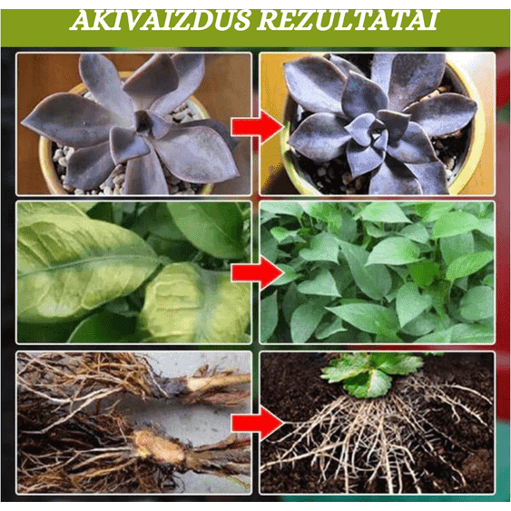Augalų augimą skatinantis papildas (1+1)