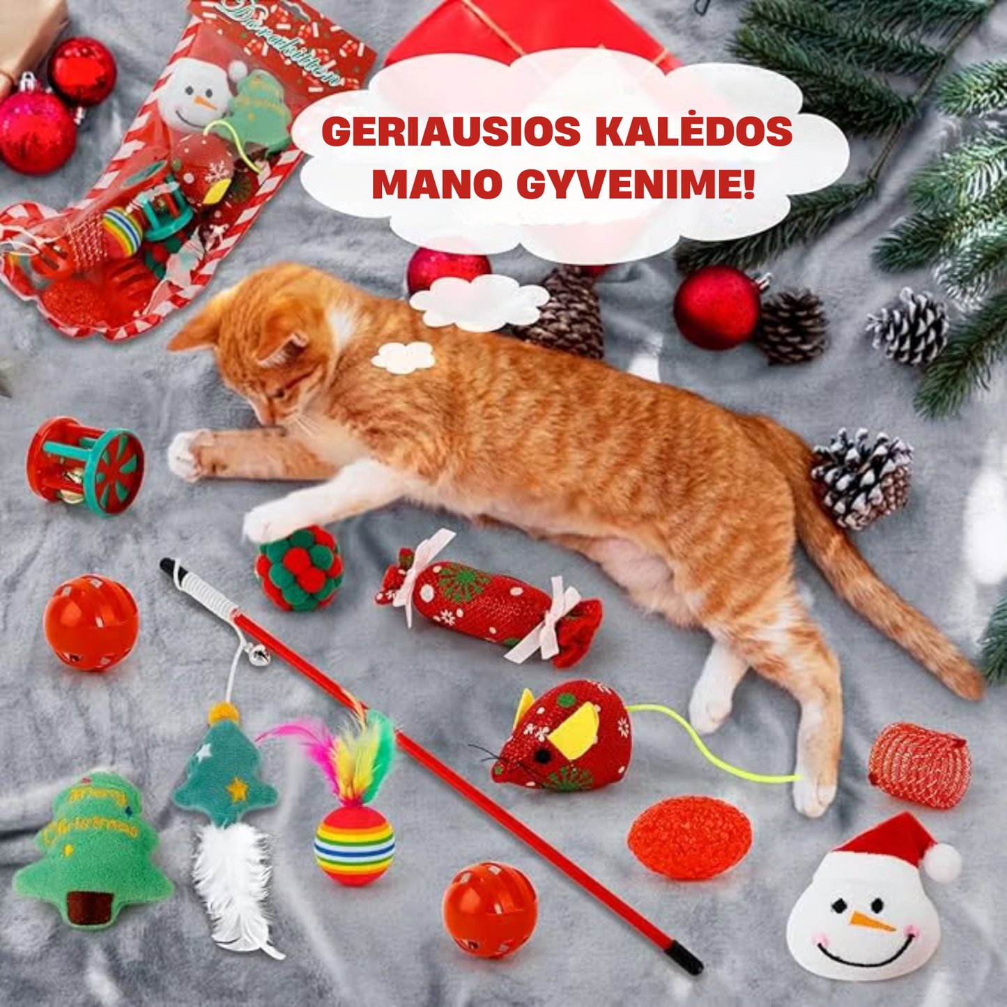 PetSanta ™ | Gyvūnų Advento Kalendorius