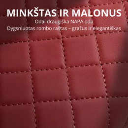 Automobilio porankio organizatorius iš PU odos
