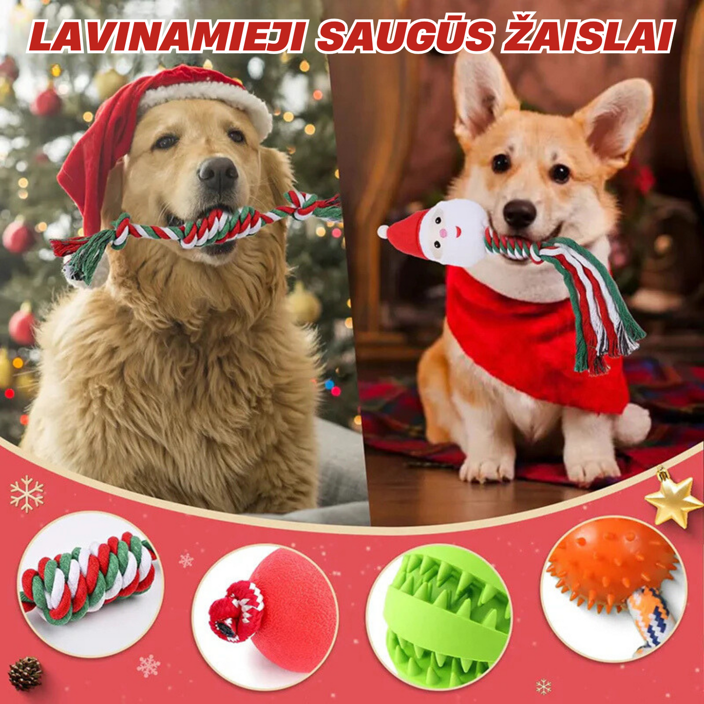 PetSanta ™ | Gyvūnų Advento Kalendorius