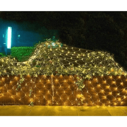 LED 8 režimų šviečiantis tinklelis 1+1