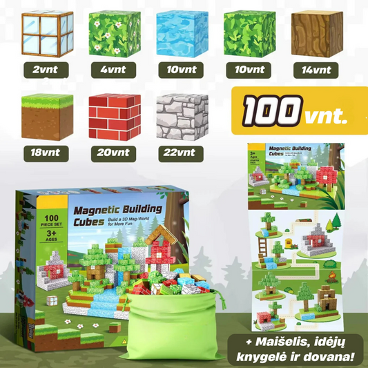 MINECRAFT | Magnetinių blokų rinkinys