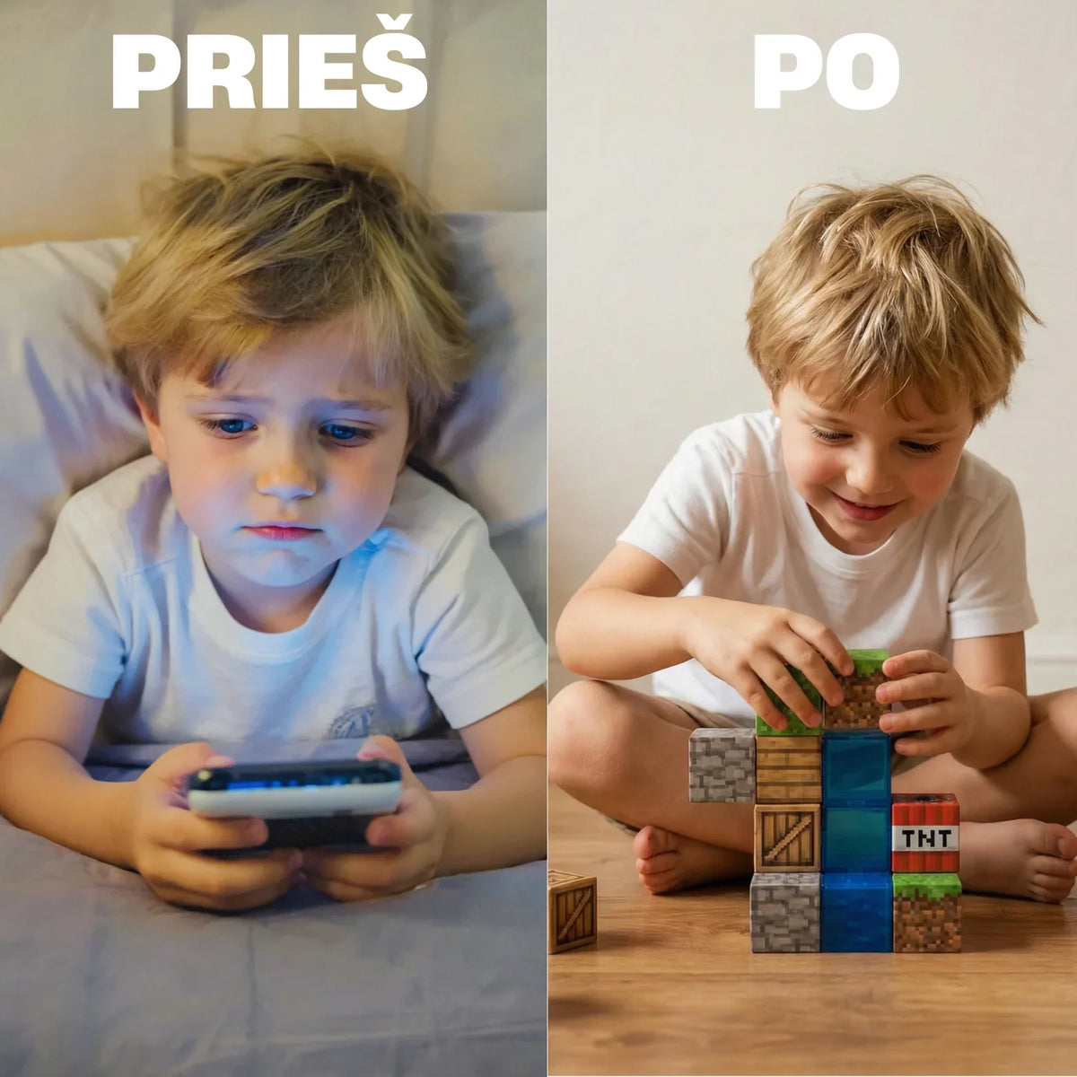 Minecraft magnetinių blokų rinkinys