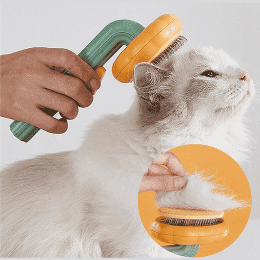 Šukos gyvūnams, kurios išsivalo pačios